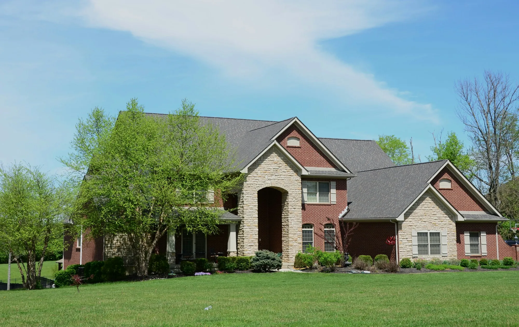 Brick suburban home surrounded by leafy trees